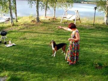 Фото номера Дом для отпуска Дома для отпуска Holiday Home Koivuniemi г. Nieminen 18
